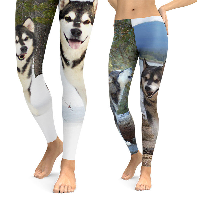 http://www.rockindadogs.com/cdn/shop/products/custom-leggings-your-dog-photos-hand-made-america.jpg?v=1484938285