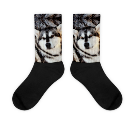 Dog socks for clearance heat