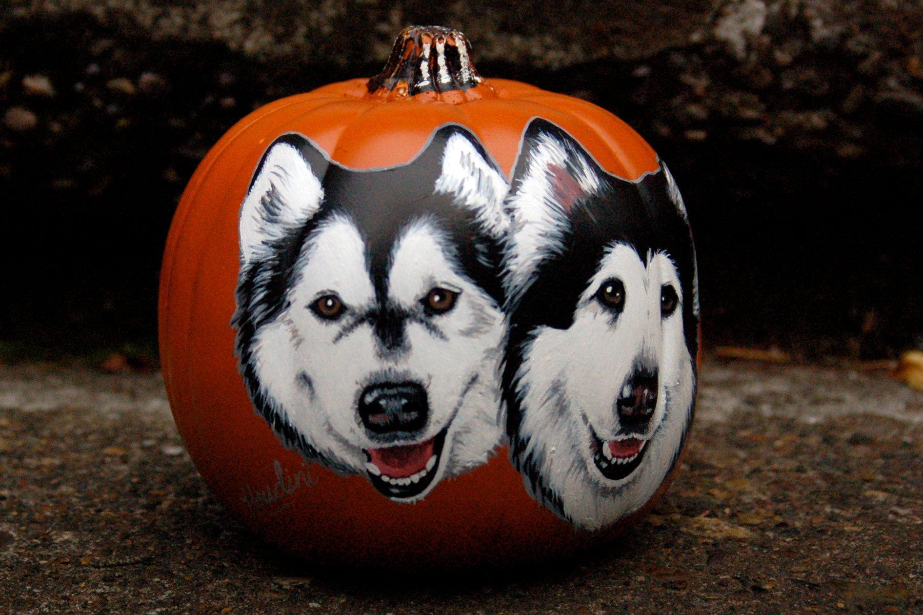 Hand Painted Pumpkins with Your Dog