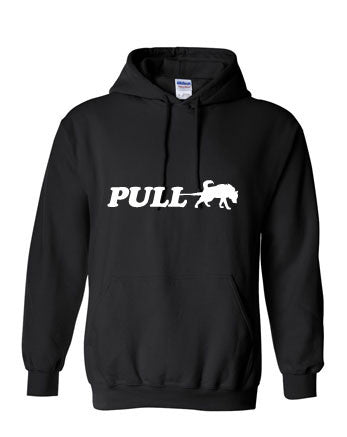 Pull and best sale bear hoodie ladies